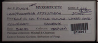 Image Associated With the Occurence